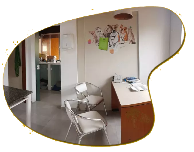 ✅ Consultório veterinário próprio no Aline Pet, hotel para cachorro em Florianópolis com suporte médico e saúde animal.